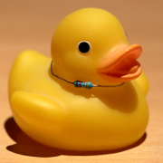 duck avatar
